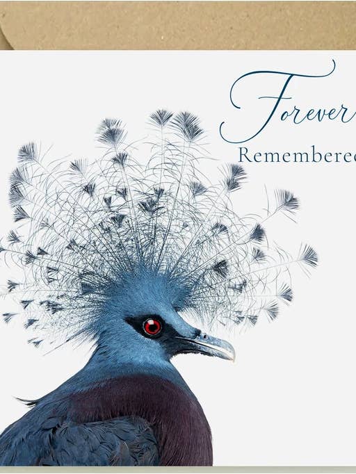 Victoria Crowned Pigeon - Forever Remembered for wholesale by The Wildlife Library