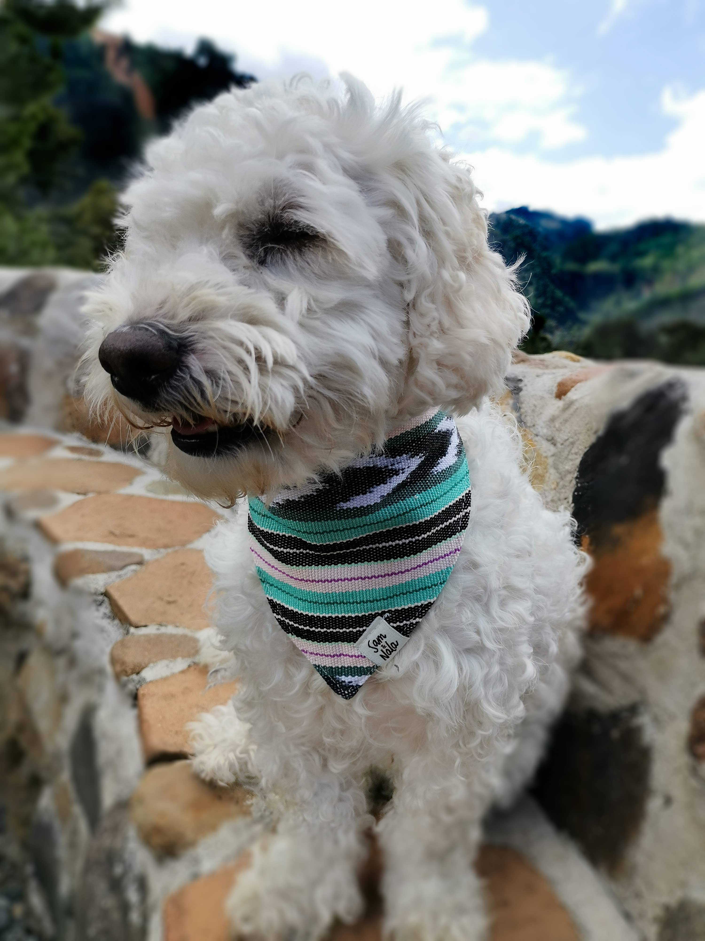 Sam & Nala | intentional style for pets & their people - Venta al por mayor Bandana - Perros - Bandana para Perros Flutter By – Hecho a Mano y de Comercio Justo3
