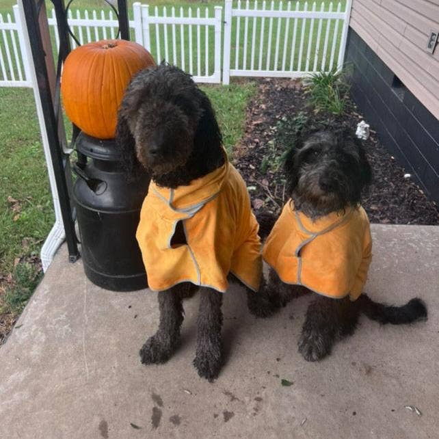 Pouty Paws - Wholesale Pet Towel - Dog - Super Absorbent Lightweight Dog Drying Robe6