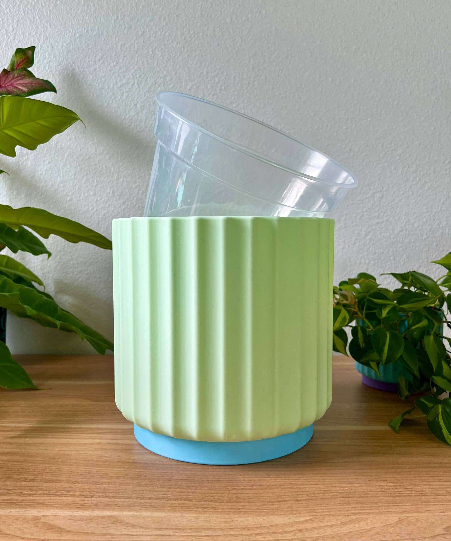 Daisy Wood Design - Wholesale Plant Pot - Bold Color Pop 8" Planters – Colorful Dreamhouse Singles4