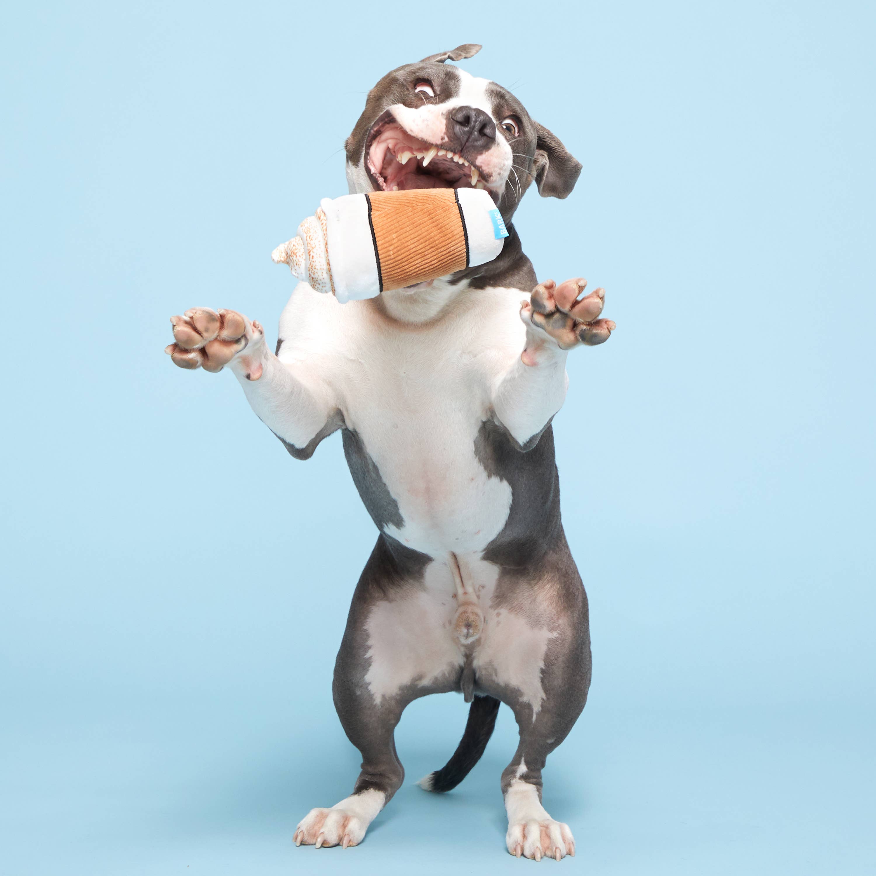 Pet Palette Distribution - Wholesale Pet Plush Toy - Dog - BARK Cup Of Bark Roast Plush Dog Toy2