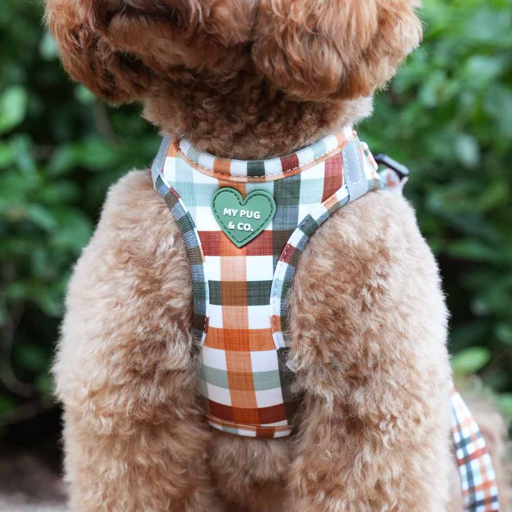 My Pug & Co. - Wholesale Pet Harness - Dog - Autumn Picnic Body Harness3
