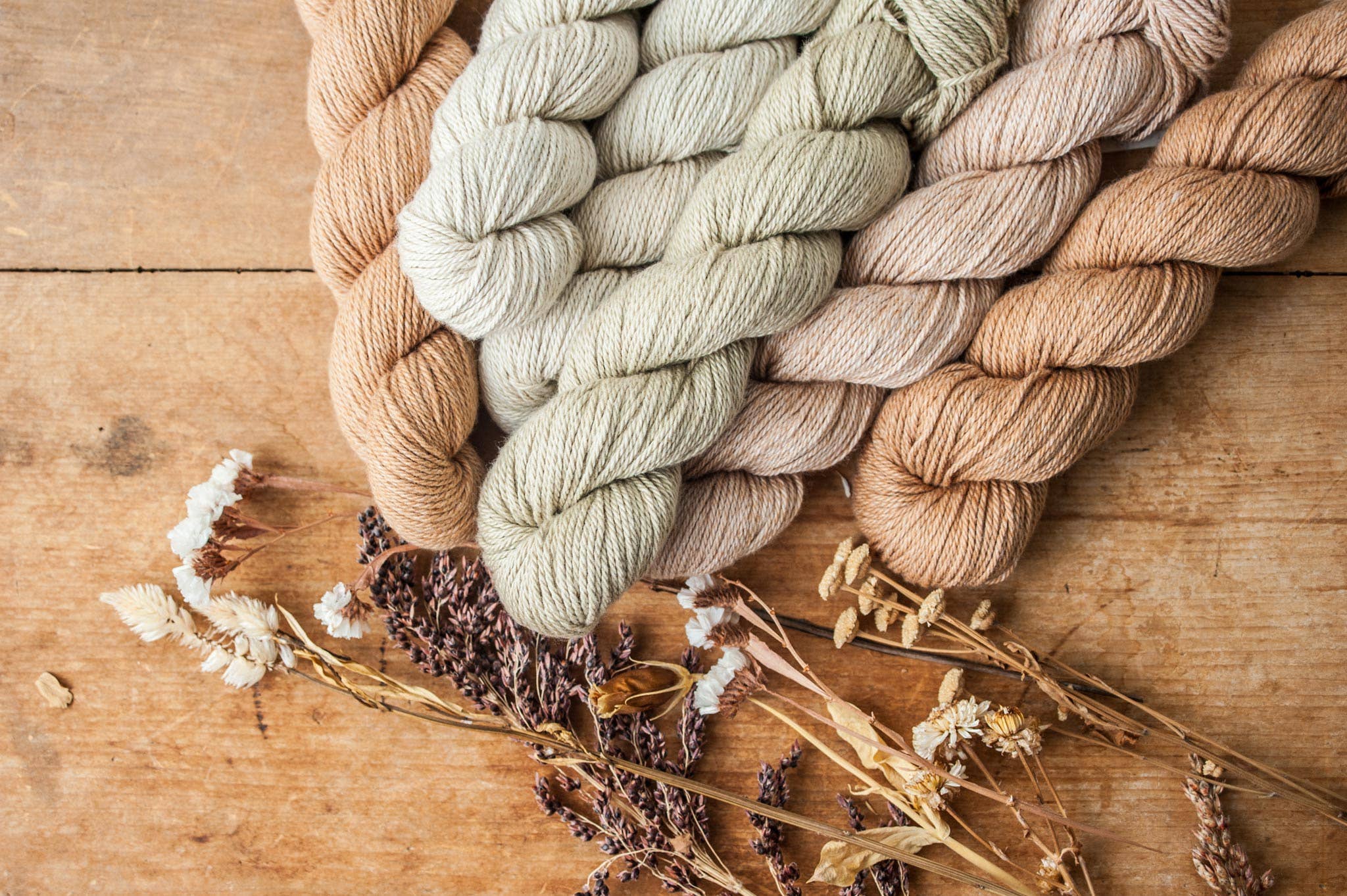 Quince & Co. - Wholesale Yarn - Willet26