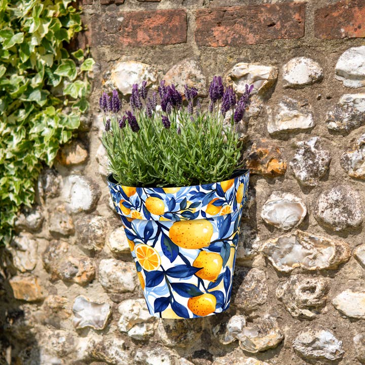 Zest Wall Pot - Siviglia per la vendita all'ingrosso da parte di CREEKWOOD GARDEN AND GIFT LTD