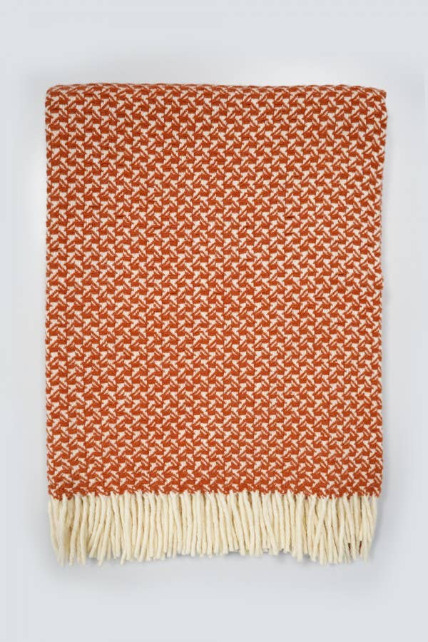 Chicoração - Vendita all'ingrosso Plaid - Coperta Rondine - più colori17