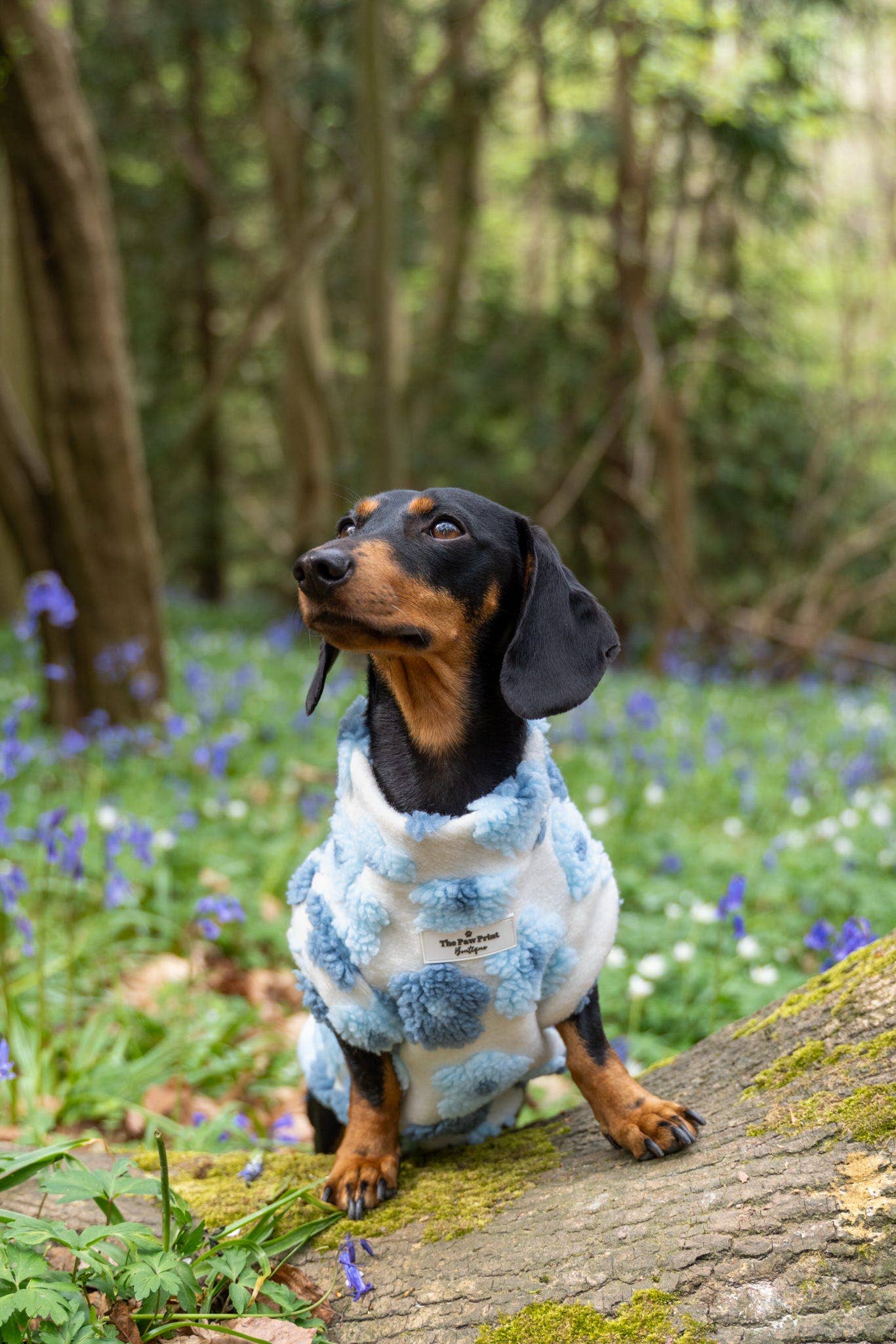 The Paw Print Boutique - Wholesale Pet jumper – Dog - The Bluebell Blue Floral Fleece4
