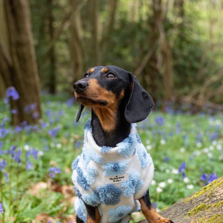 The Paw Print Boutique - Wholesale Pet jumper – Dog - The Bluebell Blue Floral Fleece4