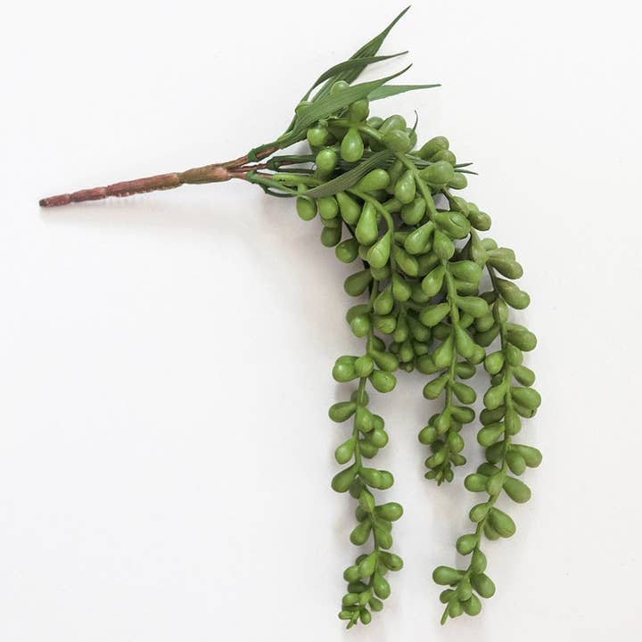 Green String Of Pearls 13" and other Purchase Wholesale artificial plant. Free Returns & Net 60 Terms on Faire trending on Faire.