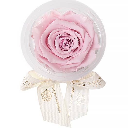 Eternal Rose Party Favors for wholesale by Eternal Roses®