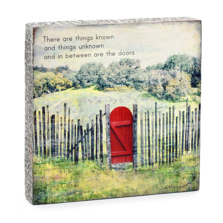 Blocage artistique - Perdu & Retrouvé - Une porte pour la vente par Cedar Mountain Studios