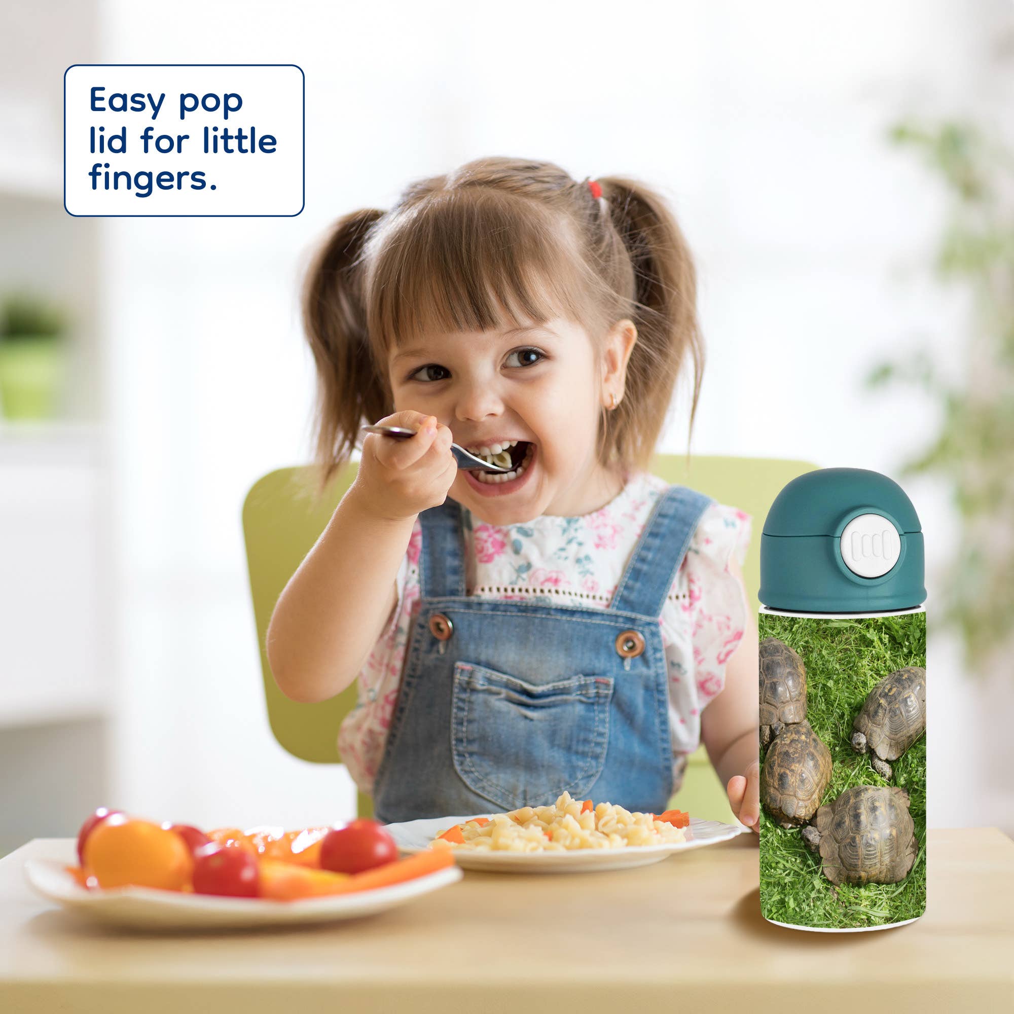 3dRose - Wholesale Water Bottle - 3dRose, Testudo Iberia - animals, ibera greek tortoise, land turtles, reptiles, testudo ibera, tortoise, Kids Water Bottle7