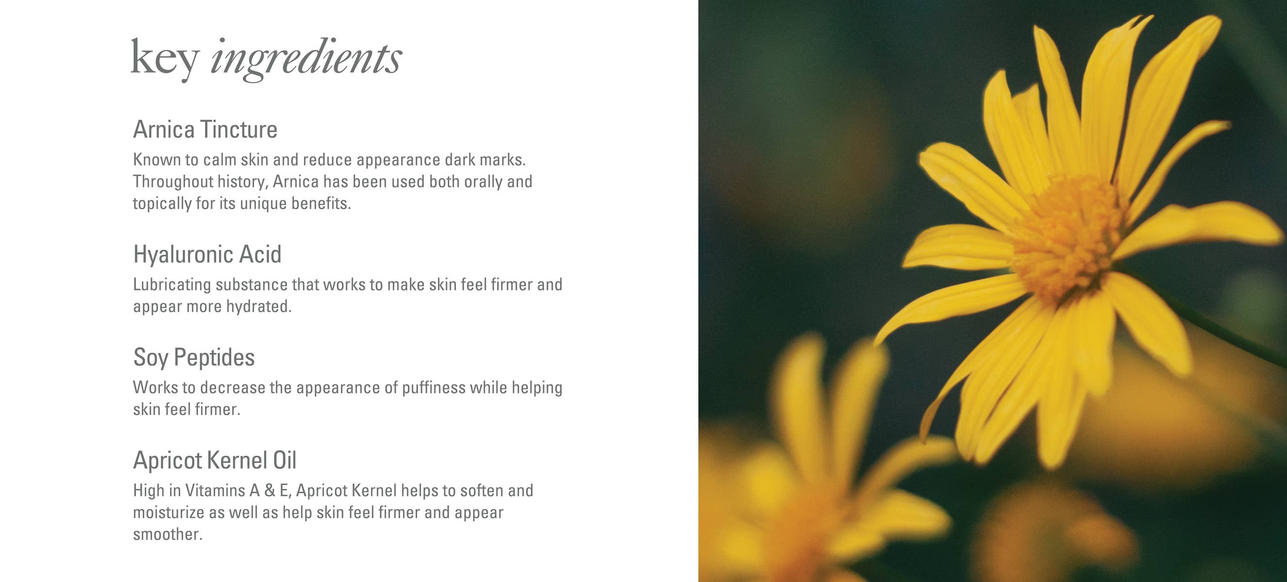 Goldfaden MD - Wholesale Eye Cream/Gel - Bright Eyes4