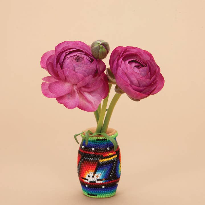 Ranunculus La Belle Violet Corms - 15 Corms for wholesale by Plantgem