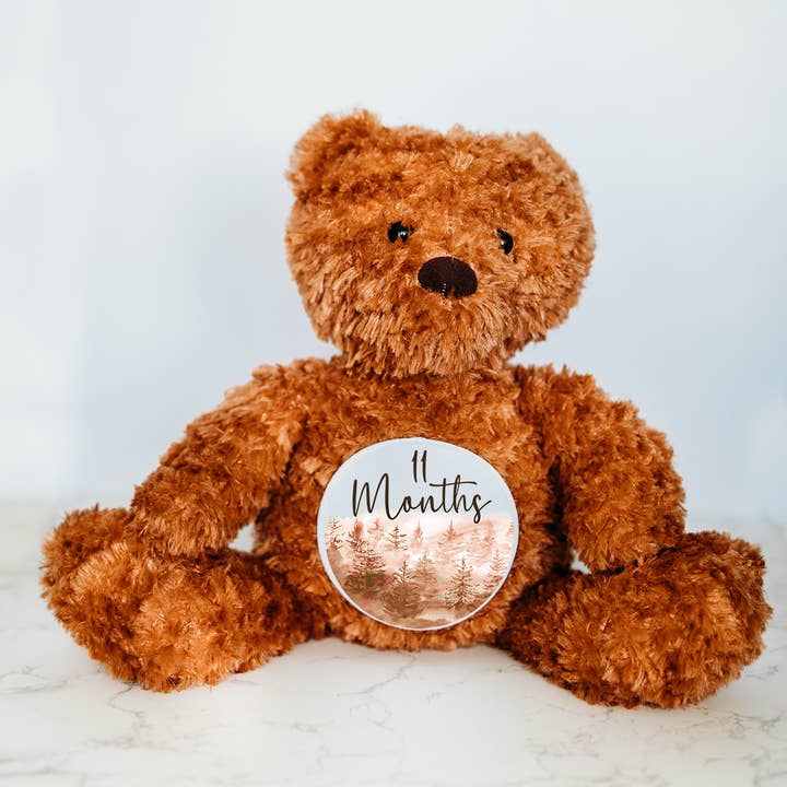 Grow With Me Baby Co - Wholesale Stuffed/Plush Toy - Kids & Baby - Monthly Milestone Discs, Bear Stuffed Animal5