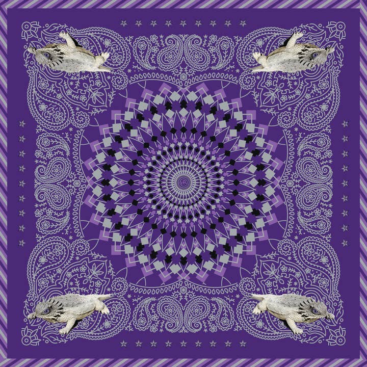 Expositor de Merchandising de Bandanas Hypnotoadie por atacado de Hampton Road Designs