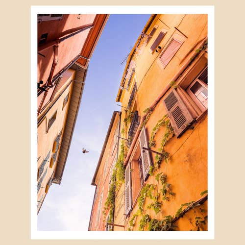 Arte da Riviera Francesa (11x14): The Bird, Vines e Sky por atacado de Charlotte to Paris