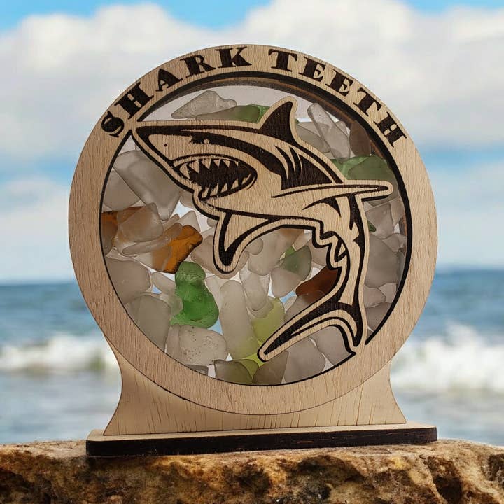 Sea Glass Displays - Wholesale Display Case - Shark Teeth Snowglobe Sea Glass Shadowbox Display 4 Styles5