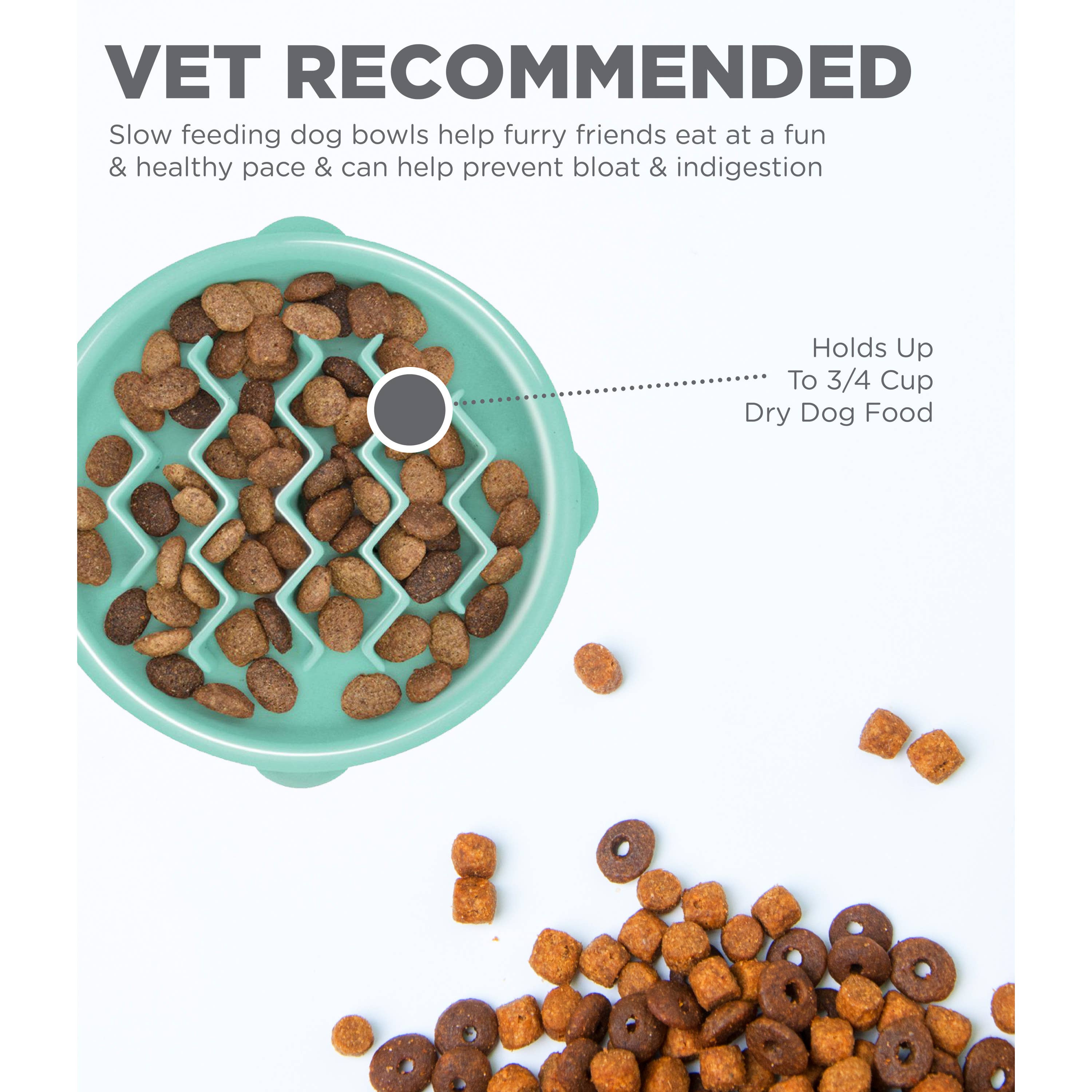 Pet Palette Distribution - Wholesale Pet Bowl - Cat/Dog - Outward Hound Fun Feeder Slo Bowl Dog Feeder Mint Small1