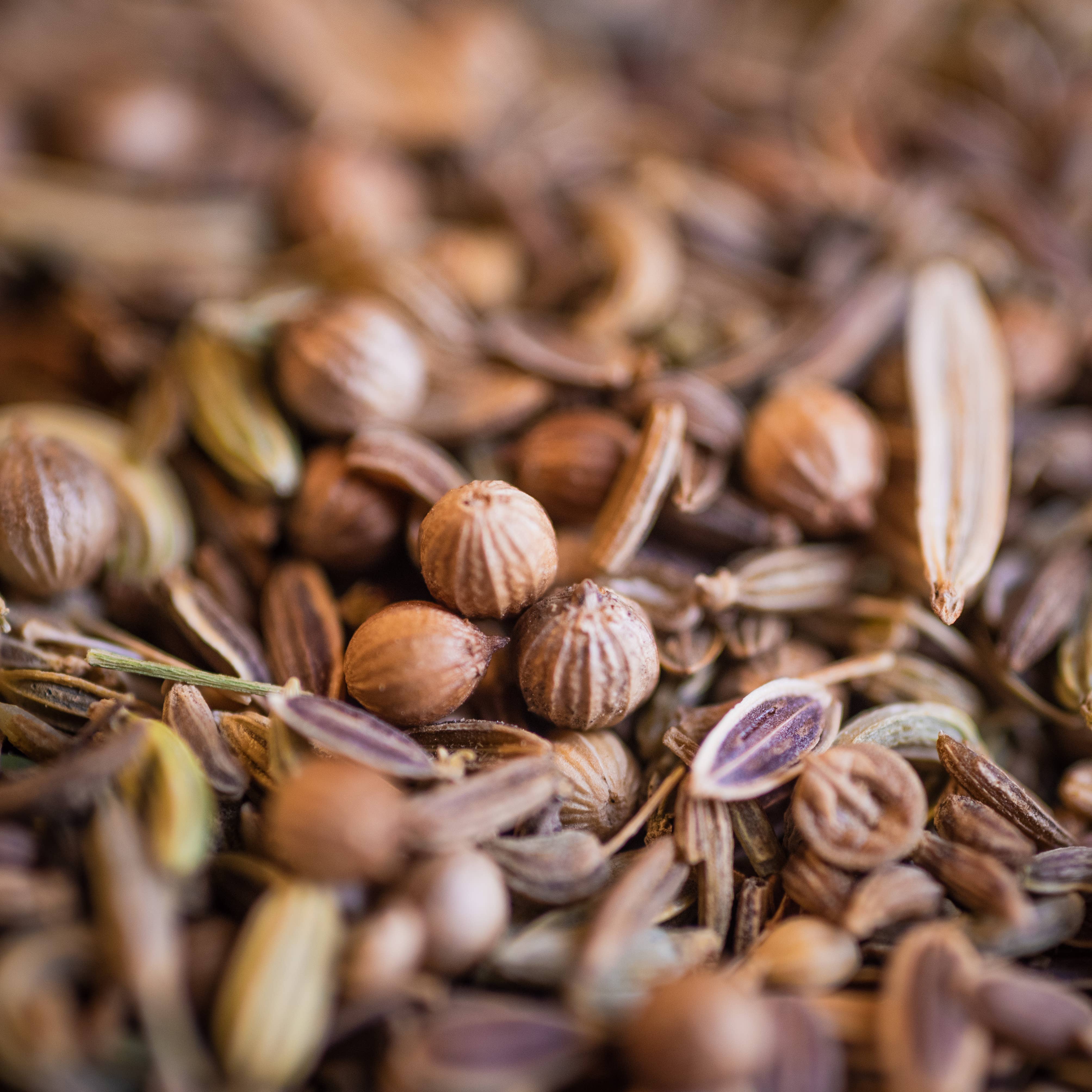 LE COMPTOIR D'HERBORISTERIE - Wholesale Health/Detox Tea - ORGANIC FLAT STOMACH HERBAL TEA 100G1