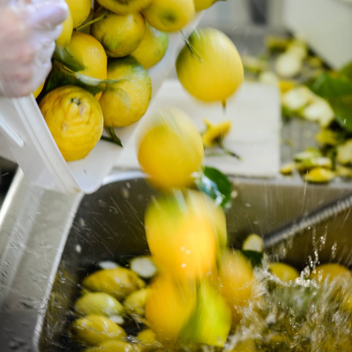 La Cour d'Orgères – Geleia por atacado – Doce de limão amarelo da Menton 250g2