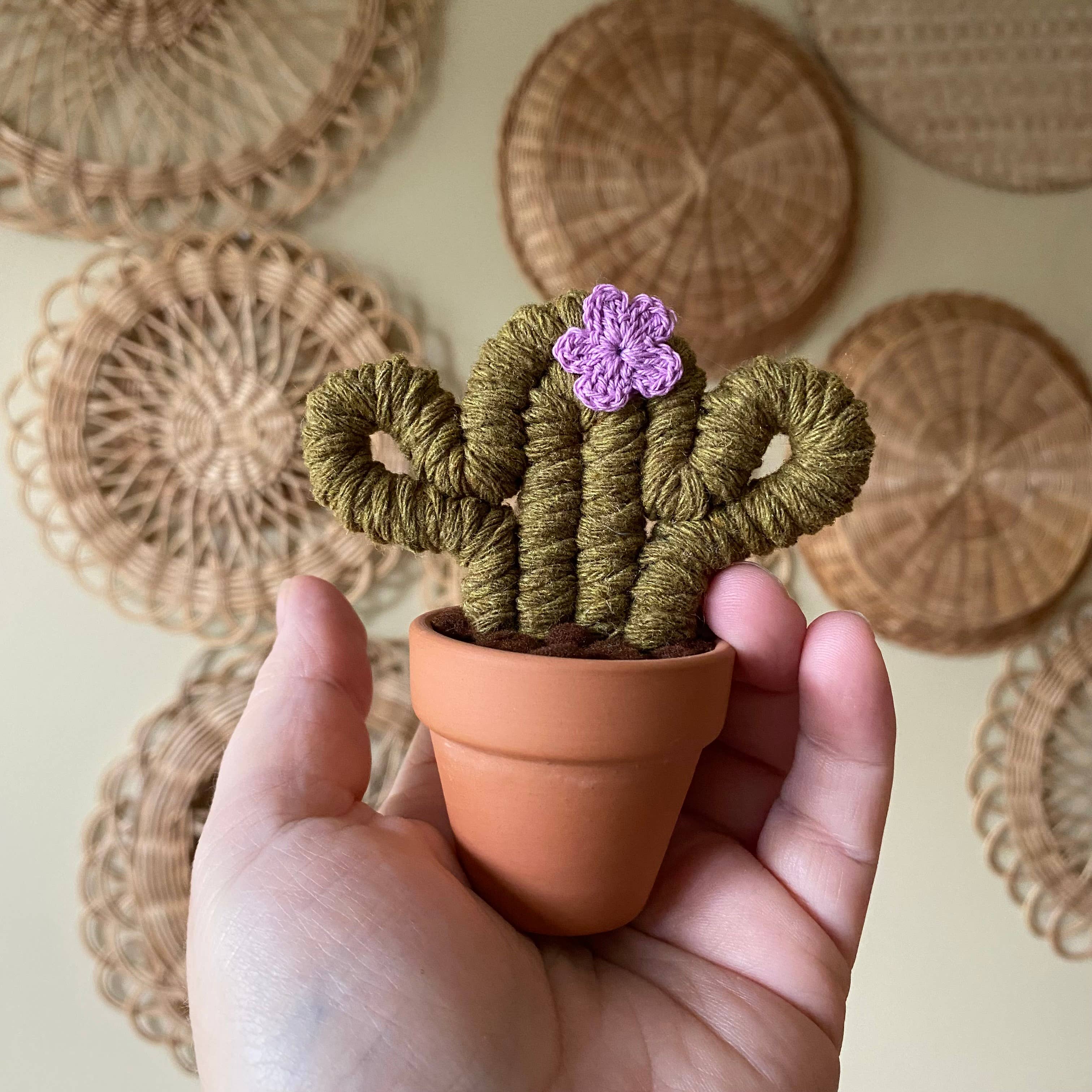 ForgetBKnot - Wholesale Decorative Tabletop Object - Macrame Cactus Forever Plant (Mini)4