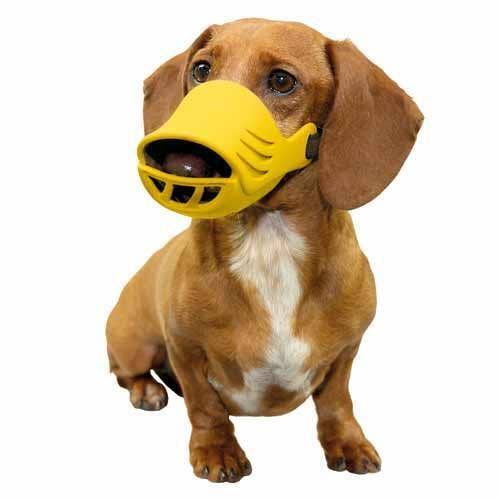 Artero Duck Muzzle for wholesale by The Petique Supplies