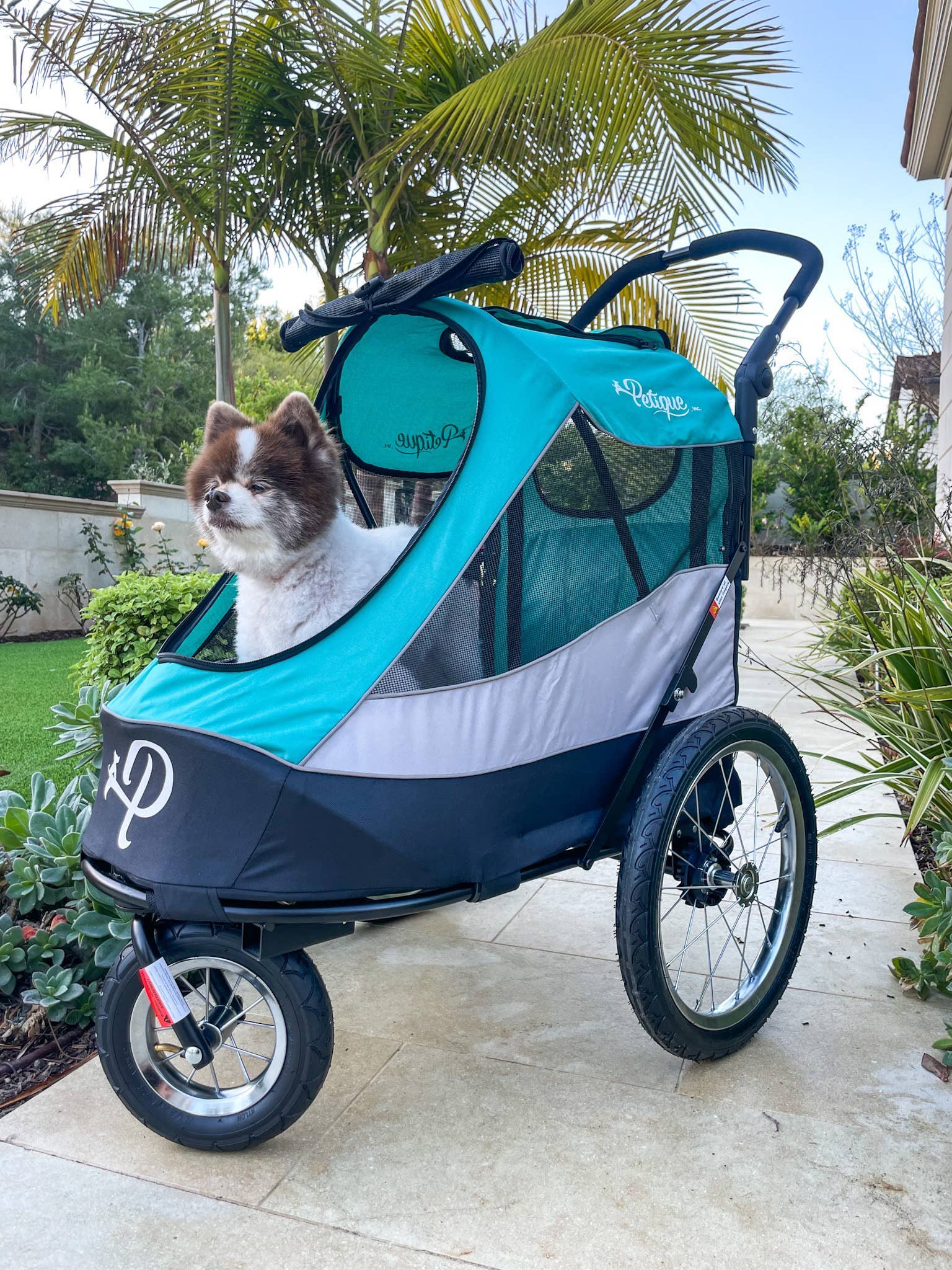 Only An Ocean Europe - Wholesale Pet Carrier - Cat/Dog - Petique Trailblazer Pet Jogger22