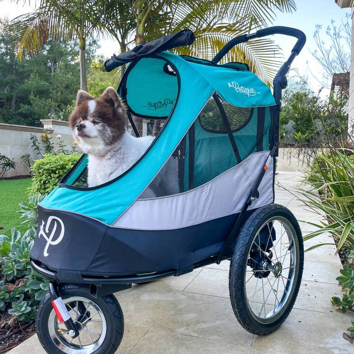 Only An Ocean Europe - Wholesale Pet Carrier - Cat/Dog - Petique Trailblazer Pet Jogger22