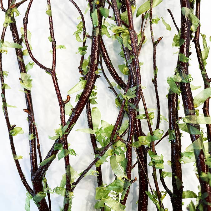 Curly Willow Branches for Arrangements (Long Stem)