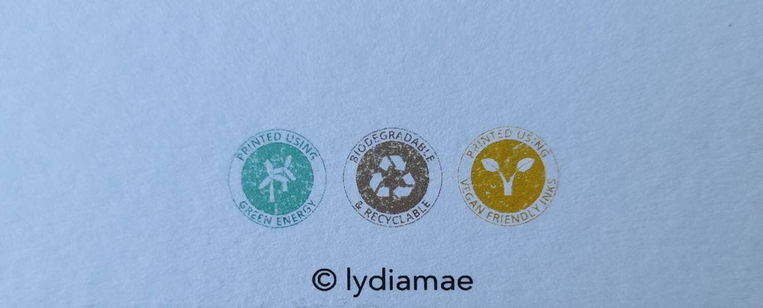 LYDIAMAE – wholesale Everyday greeting card – Snail Ride Greetings Card2