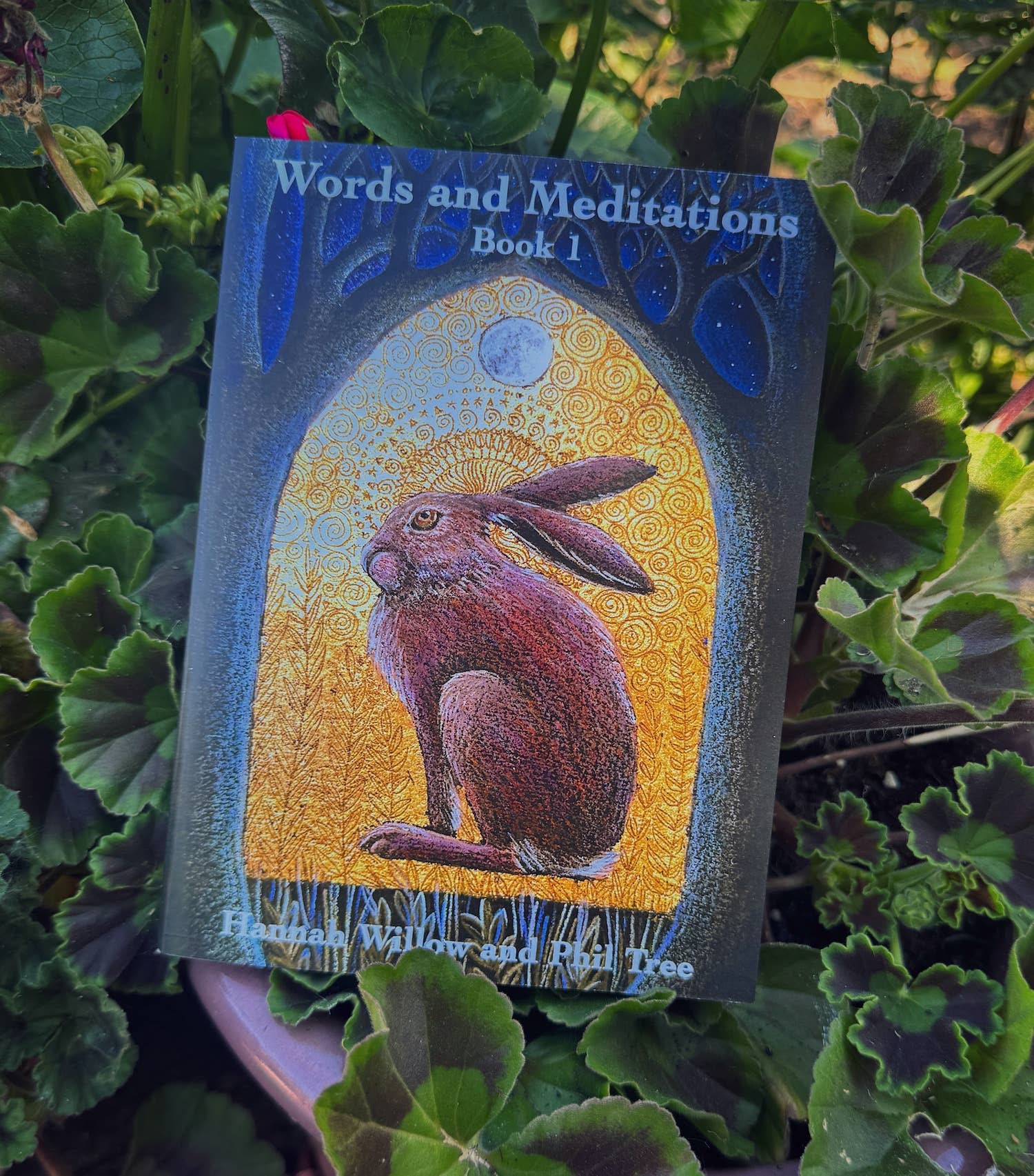 Hannah Willow Art - Wholesale Tarot Cards - Oracle stand, card set and book. handmade in our studio4