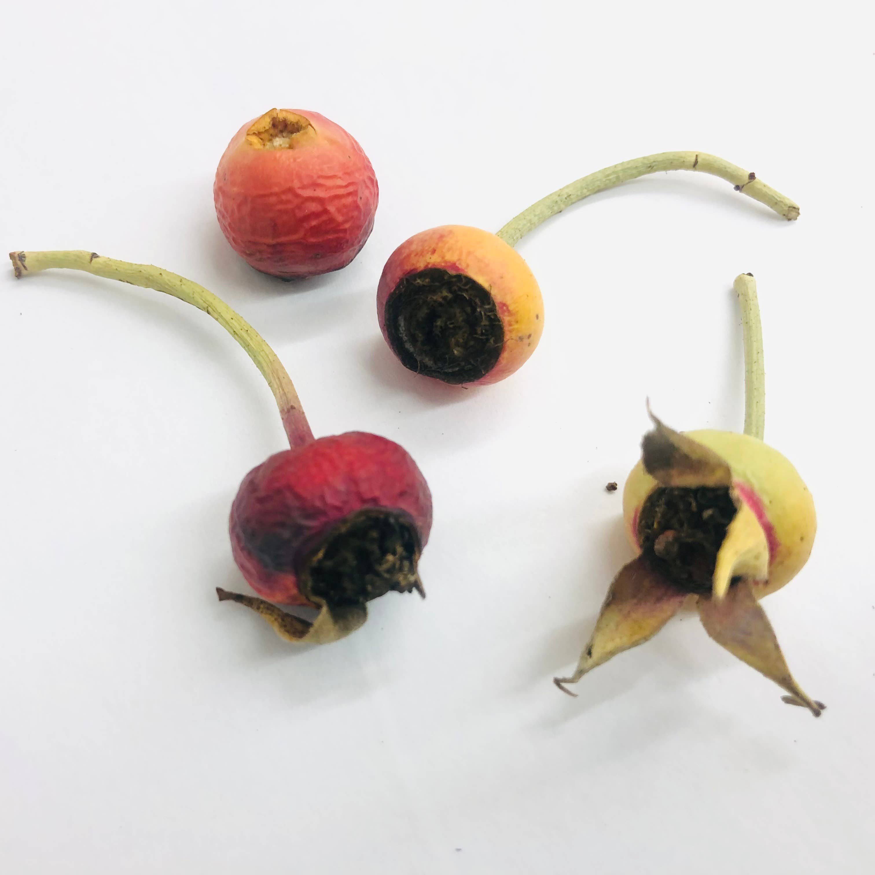 Flyboy Naturals Rose Petals – wholesale Dried/pressed flowers – Organically Grown Freeze-Dried Rose Hips 10 cups - 1lb   USA4