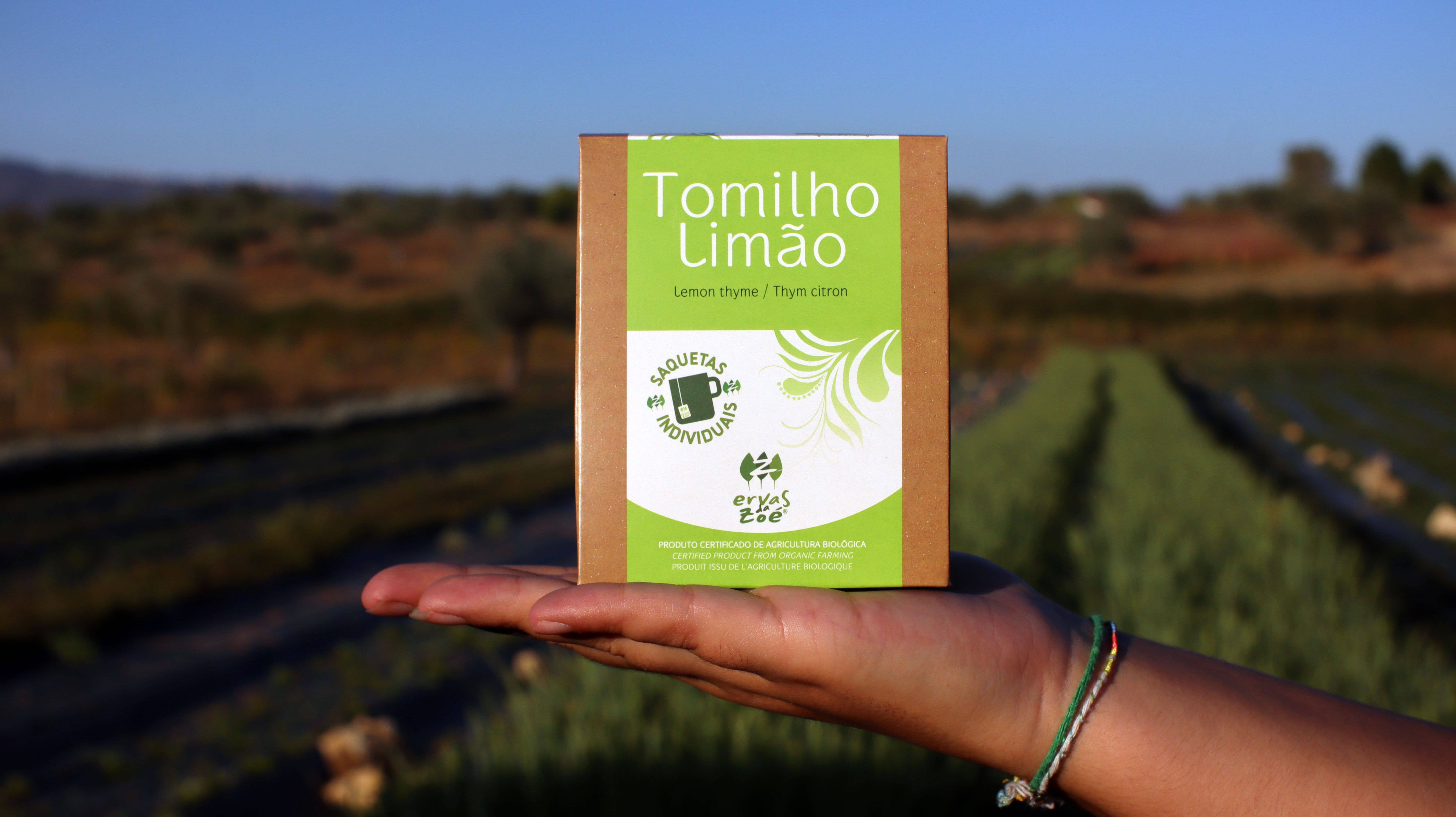 Ervas da Zoé – Engroshandel Sundheds-/detox-te – 56. Urte te «Lemon Thyme» økologisk (12 individuelle breve)