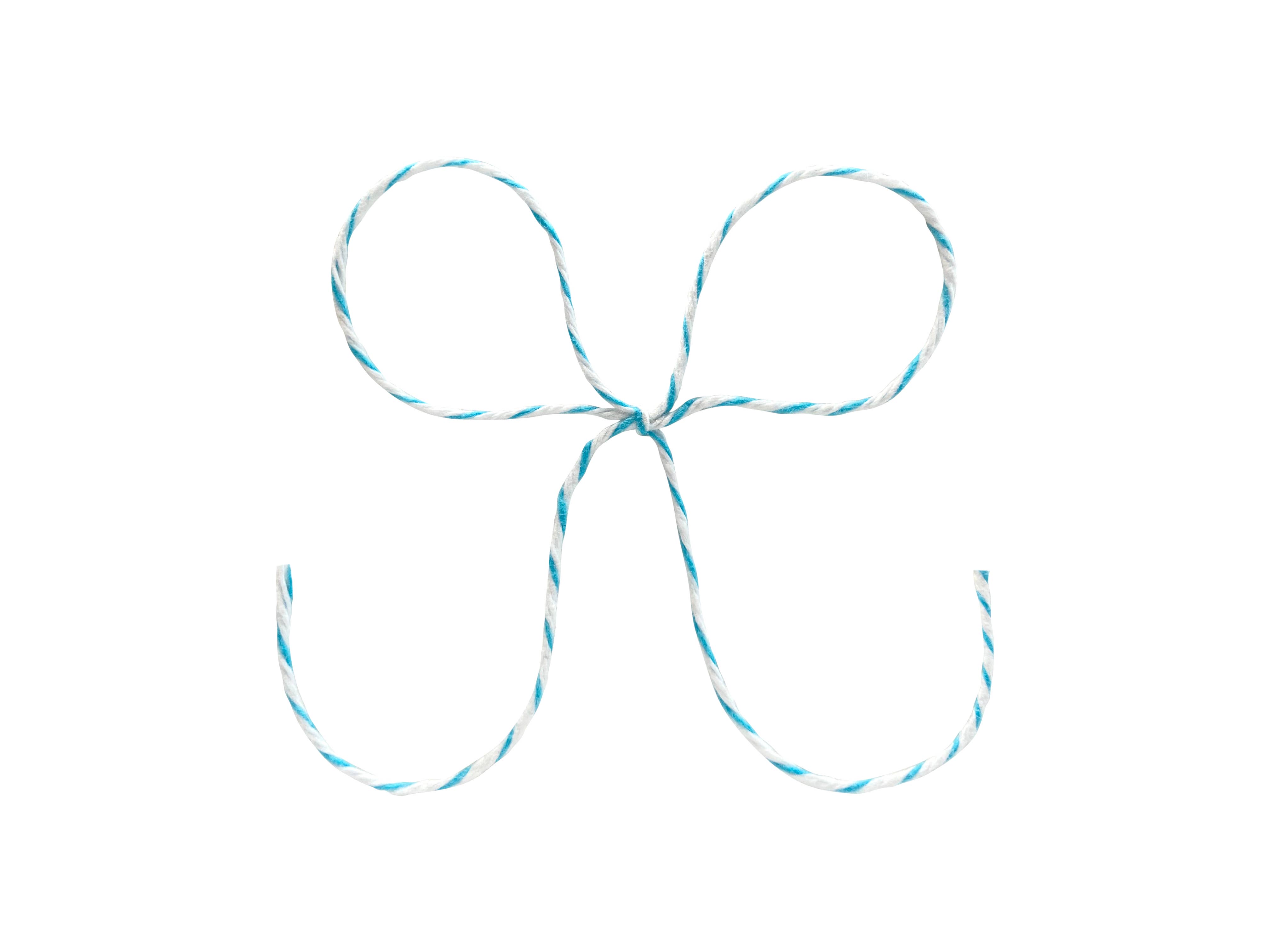 MIDORI Inc. - Wholesale Twine - Twine - Aqua & White Stripe0