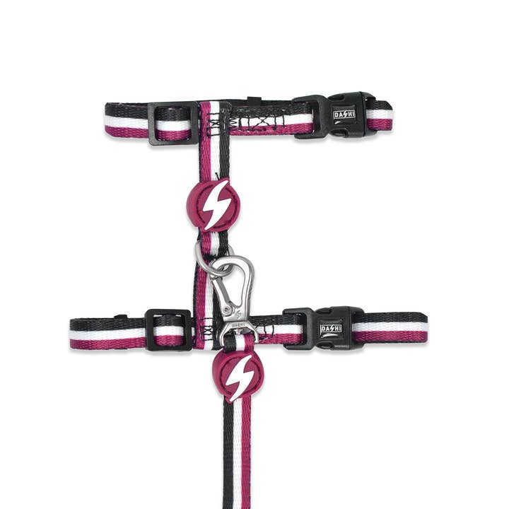 Stripes³ kattledatsele och koppel i lila och svart för wholesale av DASHI