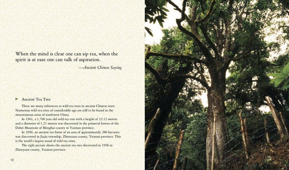 Independent Publishers Group - Wholesale Cookbooks & Food - All the Tea in China4