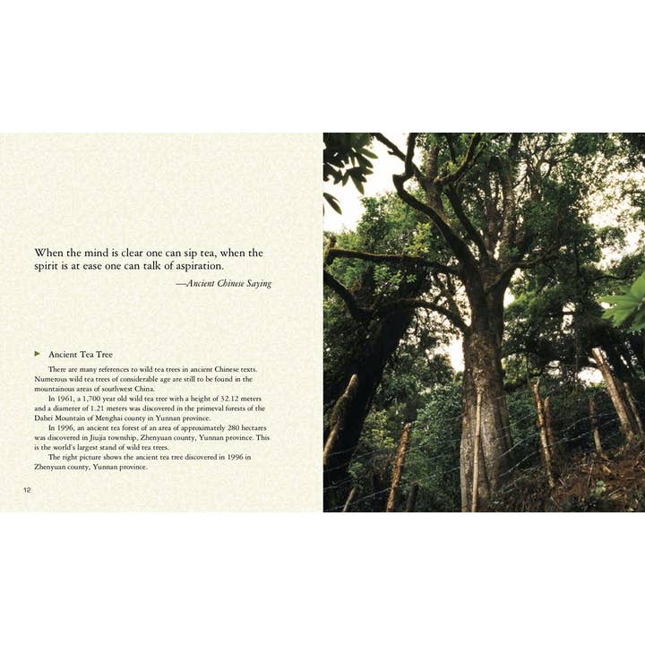 Independent Publishers Group - Wholesale Cookbooks & Food - All the Tea in China4