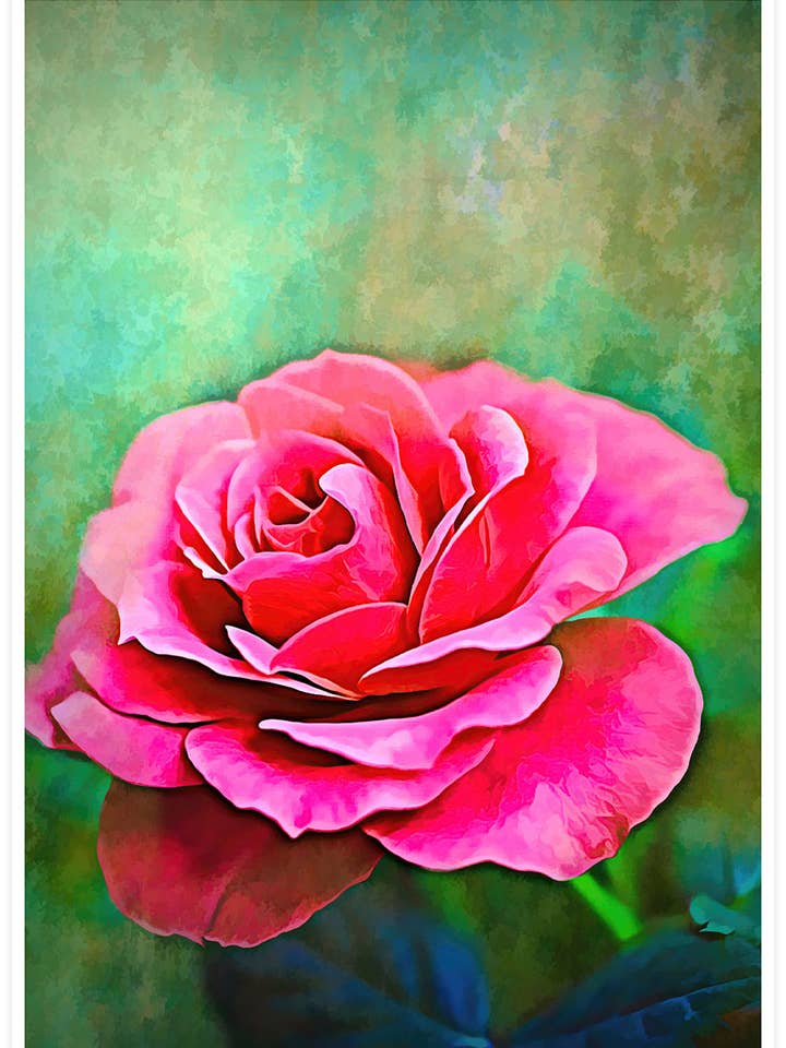 Udsøgt lyserød rose blomsterprint for engroshandel hos The Underdog Print Shop