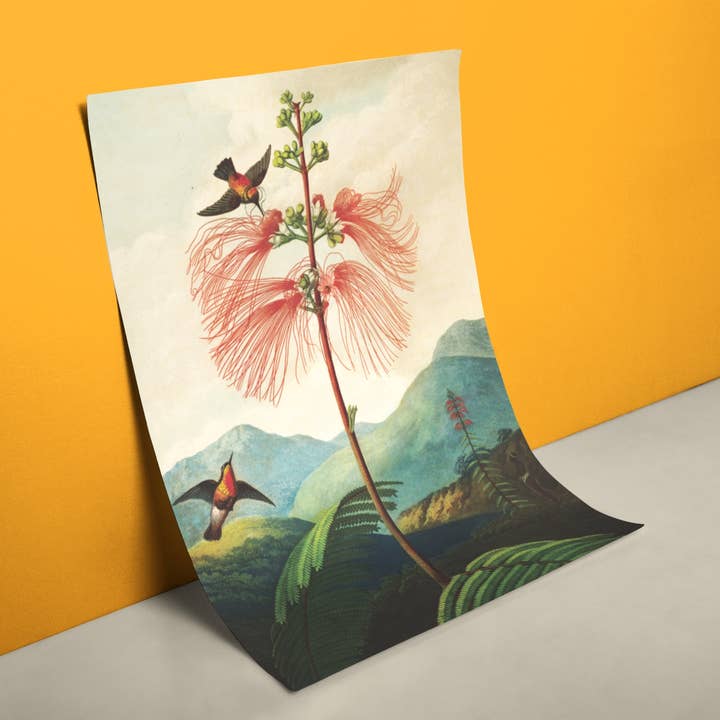 Thornton Flower Poster for wholesale by reetro