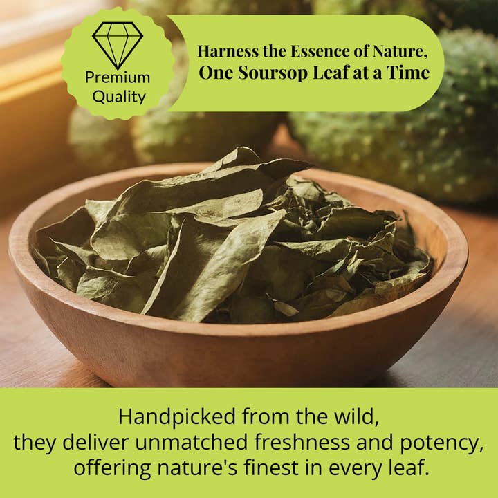 Akshit - Wholesale Loose Tea - 200+Soursop Leaves, Hojas de Guanabana Dried Graviola Leaves