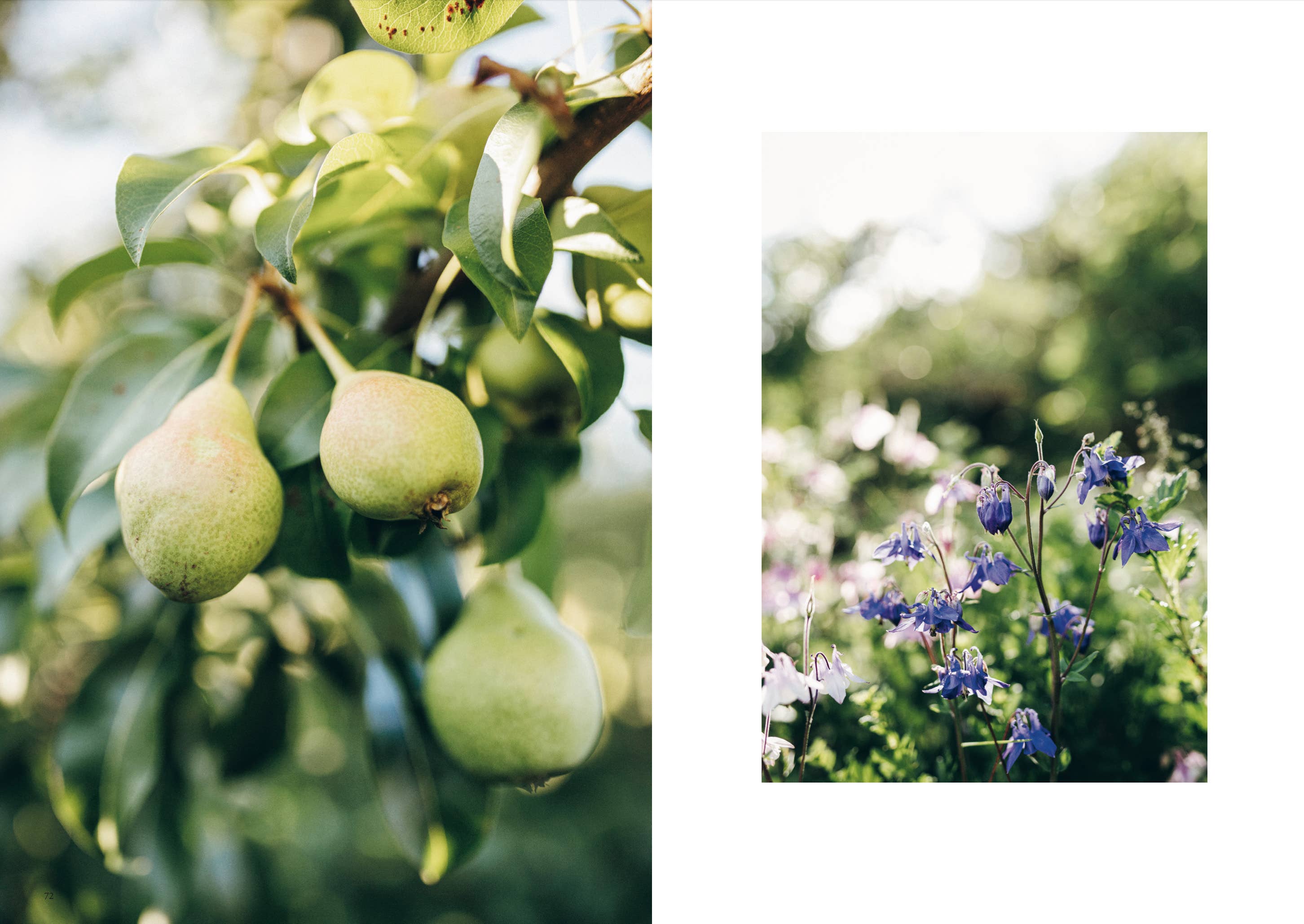 Cozy Publishing - Wholesale Crafts, Hobbies & DIY Book - Knits from Our Gardens3