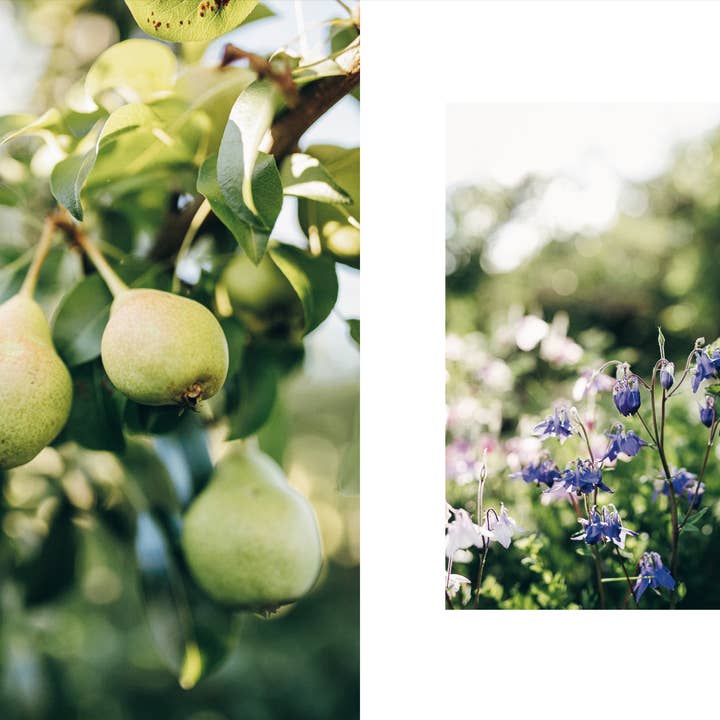 Cozy Publishing - Wholesale Crafts, Hobbies & DIY - Knits from Our Gardens3