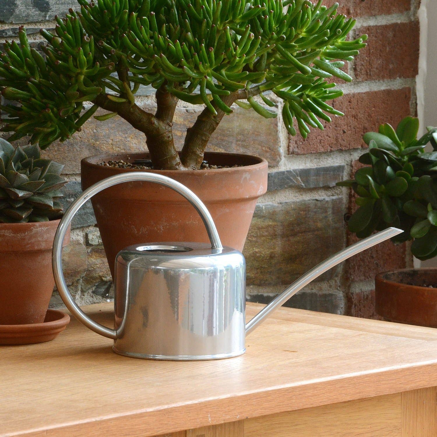 Wholesale Gifts Tomorrow - Wholesale Watering Can - Silver Small 1.1L Indoor Watering Can Metal Coated Steel0