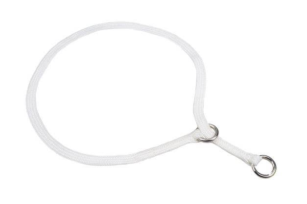 Alvalley – Engroshandel Halsbånd - Hund – Show slip halsbånd4