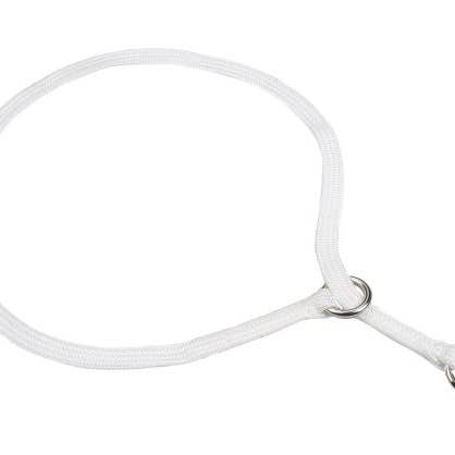 Alvalley – wholesale Halsband - Hund – Alvalley halsband med löpande ögla för utställning4