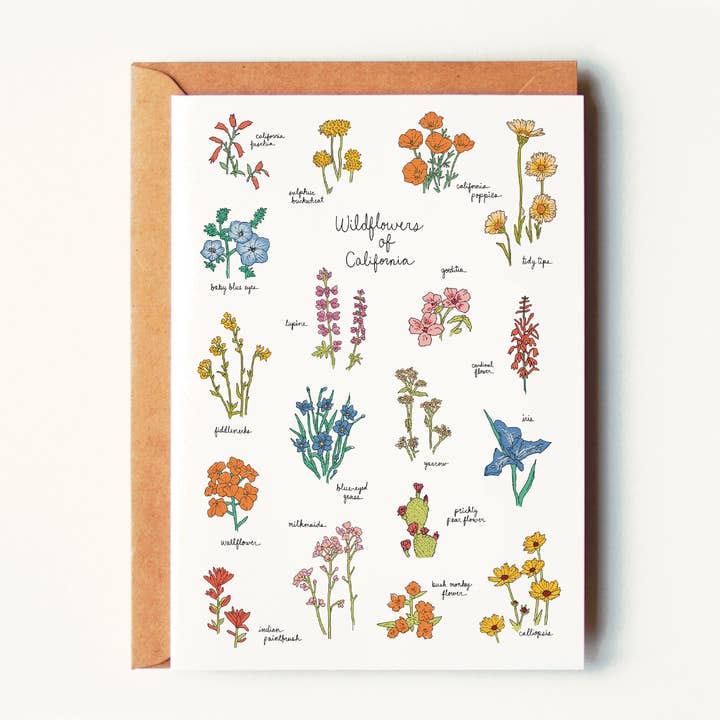 Wildflowers of California Greeting Card for wholesale by Kaari & Co.
