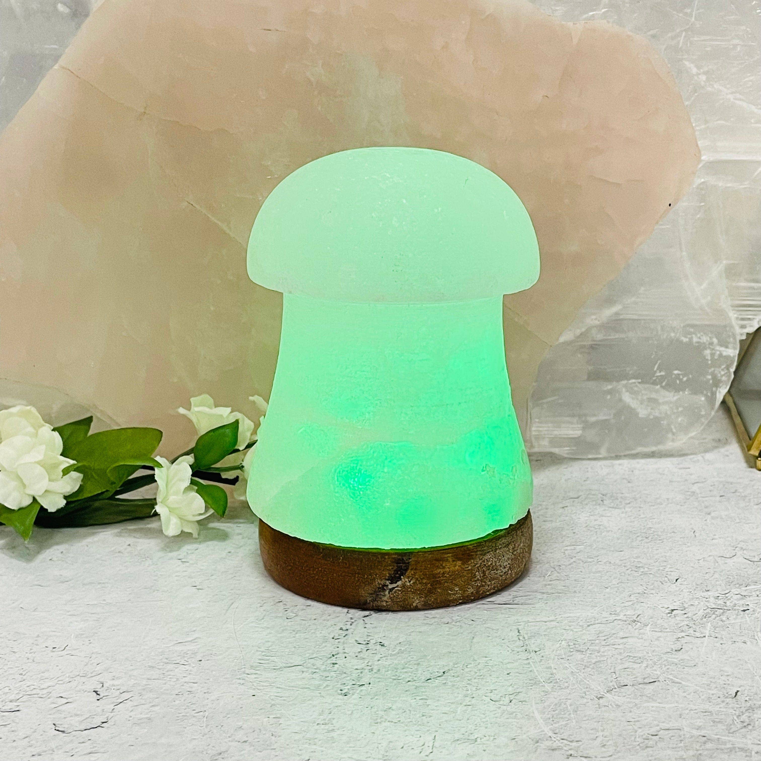 Rock Paradise - Venta al por mayor Lámparas de sal - Lámpara de cristal en forma de hongo blanco salado del Himalaya, que cambia de color3