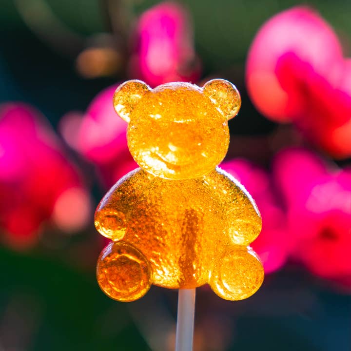 Sparko Sweets - Wholesale Lollipop - Honey Bear Lollipops - 2"