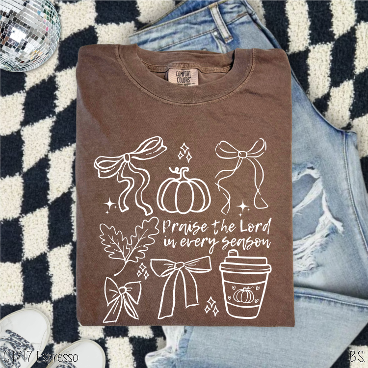 Bama Screens - Wholesale Screen Printed T-Shirt - Women's - Semi-Exclusive Praise The Lord Fall #BS83260