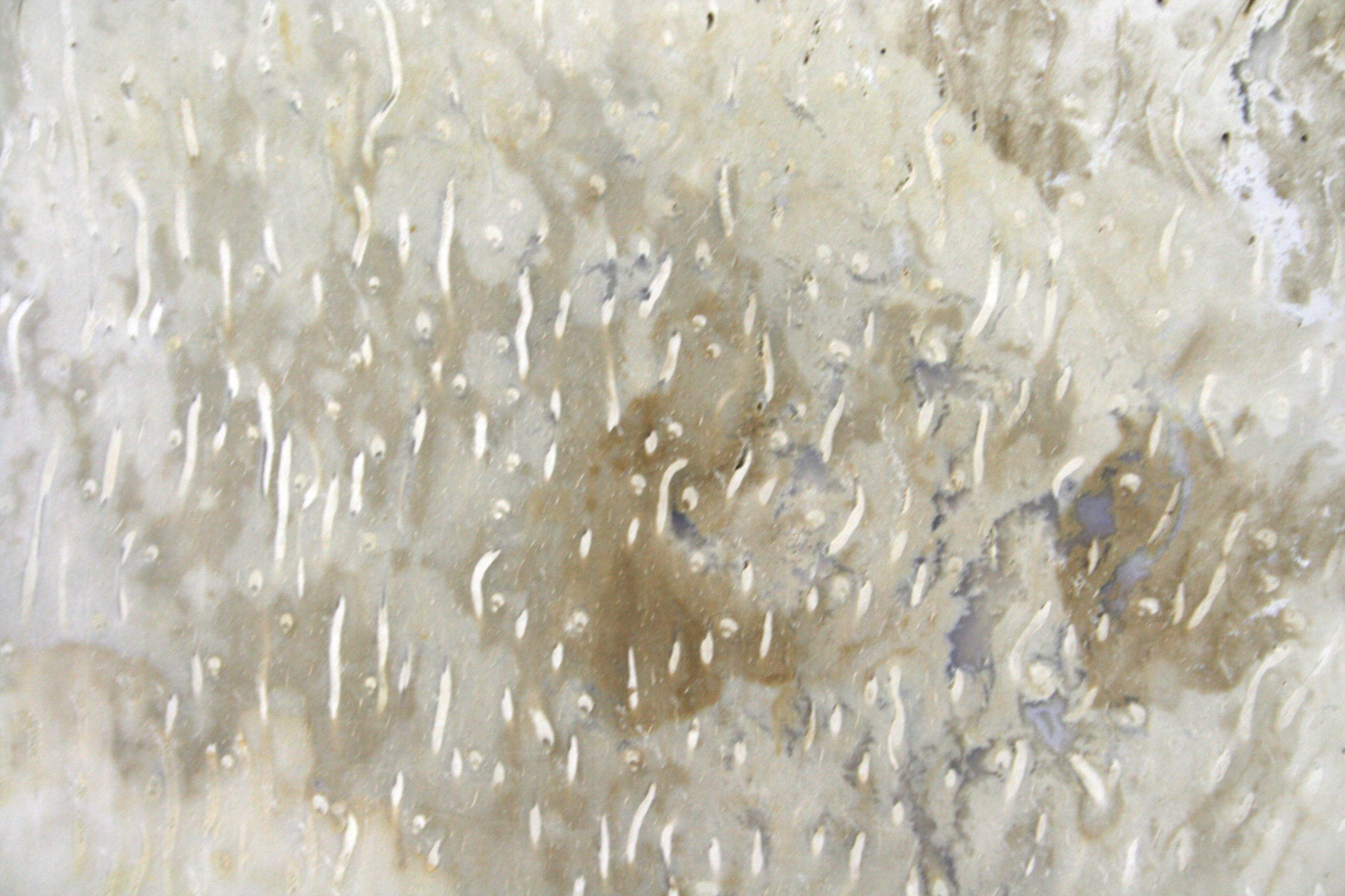 Housewares & Tabletops by Contrast Inc. - Wholesale Cutting Board - Petrified Palm Wood Small Cheese Board5